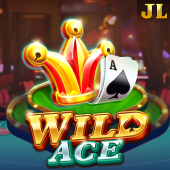 Wild Ace on bigwin bet